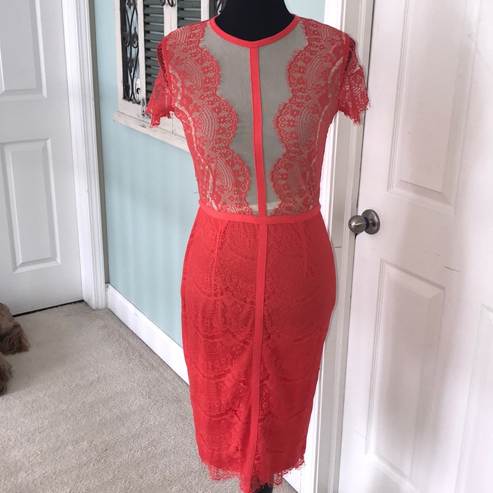 Lace eyelet body shaping dress